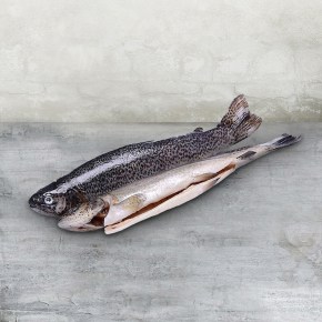 forel karelskaya